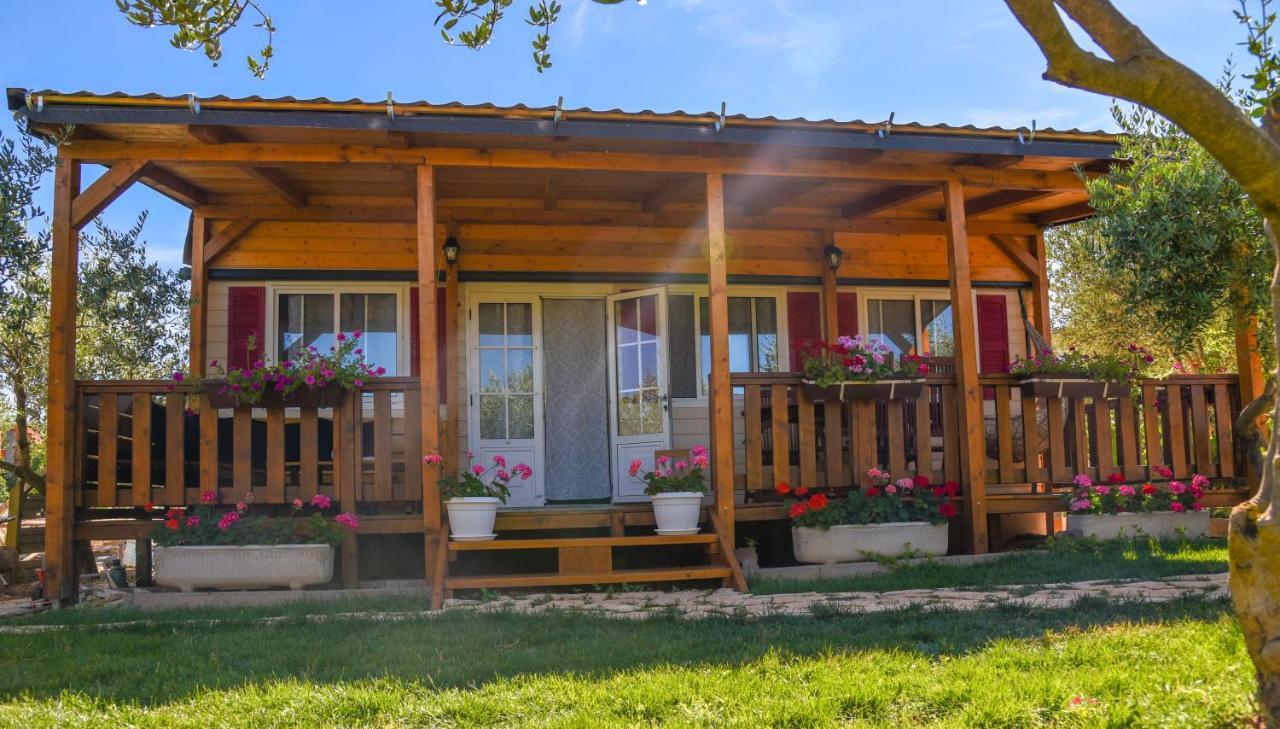House Matea Villa Bilice Dış mekan fotoğraf